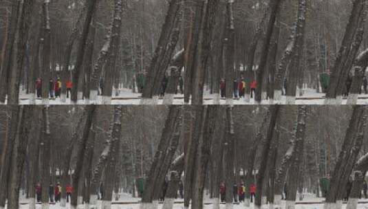 雪中公园跳舞的人们高清在线视频素材下载