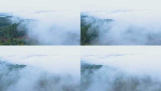 旅游景区云海晨雾高清在线视频素材下载