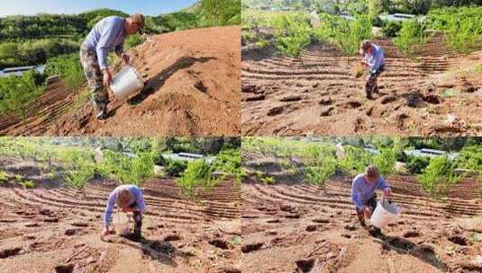 在地里干活的农民高清在线视频素材下载