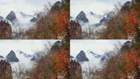 秋冬季节的黄山景色高清在线视频素材下载