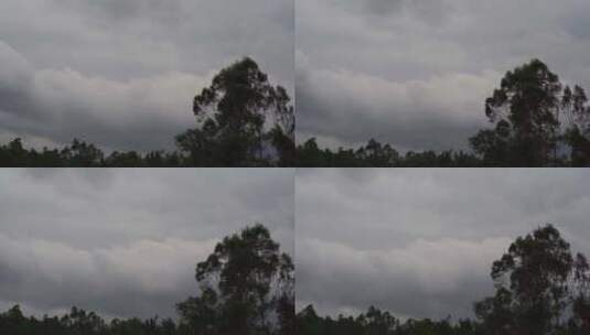 阴天森林乌云飘过树林阴雨天森林大景松树林高清在线视频素材下载