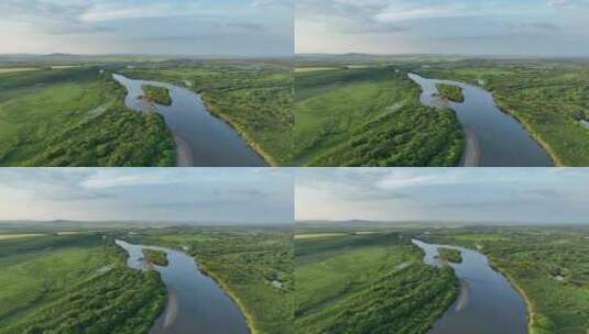 航拍绿色湿地丛林河湾高清在线视频素材下载