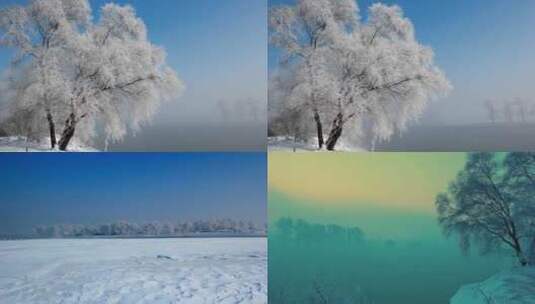 冬天雾凇、树挂延时高清在线视频素材下载