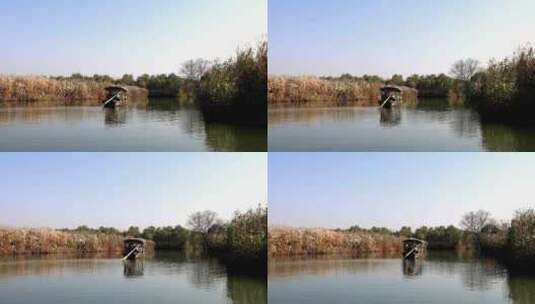 中国杭州西溪湿地摇橹船手摇船高清在线视频素材下载