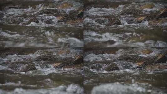 河流升格慢动作高清在线视频素材下载