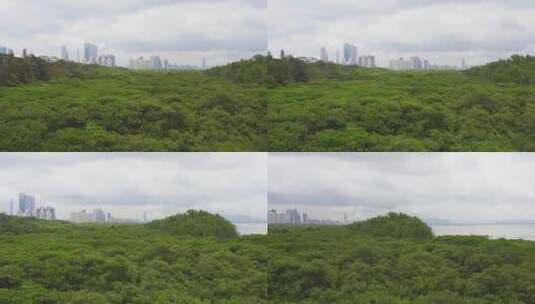 广东深圳福田红树林保护湿地公园城市天际线高清在线视频素材下载