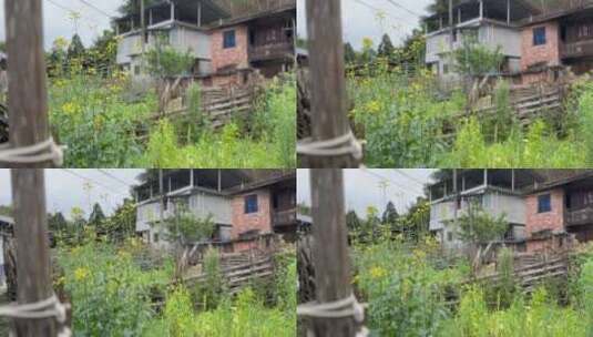 油菜花田边的村庄高清在线视频素材下载