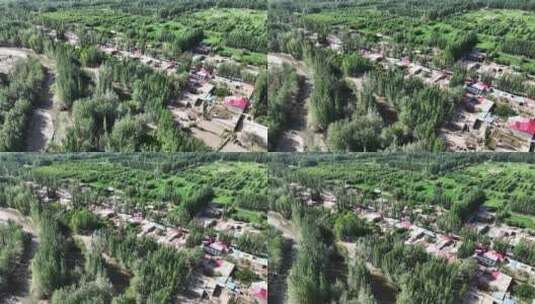 航拍新疆喀什地区被绿色树林包围的小镇高清在线视频素材下载
