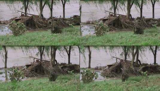 洪水退去的河岸边4K120帧升格视频高清在线视频素材下载