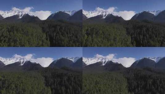 西藏林芝蓝天白云雪山和森林高清在线视频素材下载