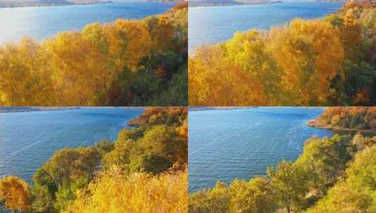 航拍秋天的湖边高清在线视频素材下载