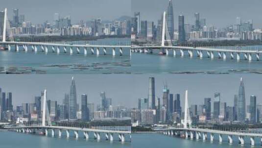 深圳湾大桥繁华城市高清在线视频素材下载