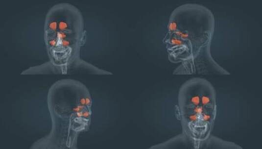 3D医学人体大脑口腔上消化道腺体三维动画高清在线视频素材下载