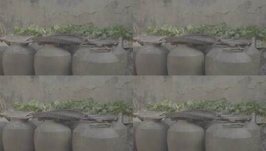 贵州茅台镇酒坛子街景农村路边蔬菜生活乡下高清在线视频素材下载