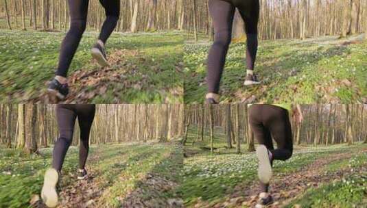 女人在户外森林里跑步慢动作高清在线视频素材下载