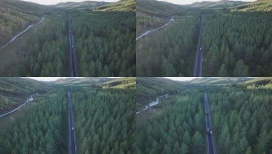 森林公路  航拍开车 航拍 山林驾驶汽车 4k高清在线视频素材下载