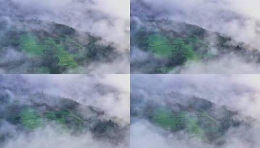 【4K超清】航拍广西龙脊梯田云雾空镜高清在线视频素材下载
