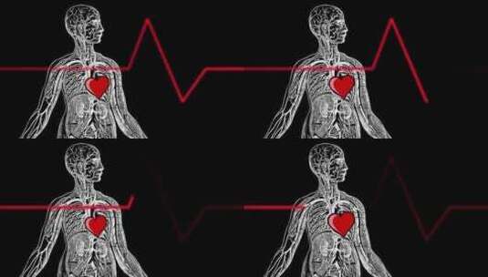 心脏 器官 心电图 人体肺部高清在线视频素材下载
