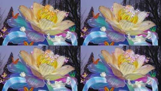 中国秦淮灯会，南京老门东流光溢彩的花灯高清在线视频素材下载