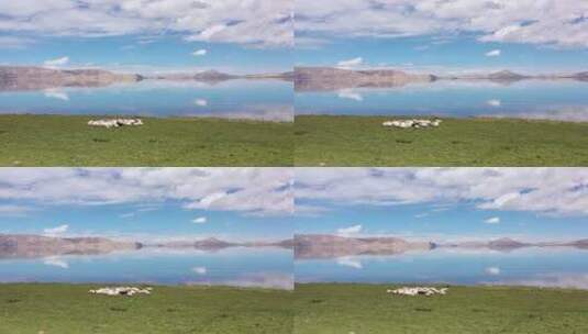 西藏 阿里北线 一错再措 高原湖泊 天上阿里高清在线视频素材下载