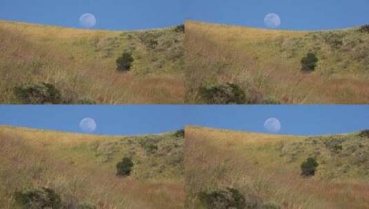 一轮满月升起在山坡上高清在线视频素材下载