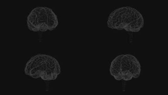 医学 大脑 脑科学 三维 脑ct1 模型高清在线视频素材下载