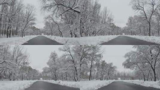 雪天秘境 林间小路高清在线视频素材下载