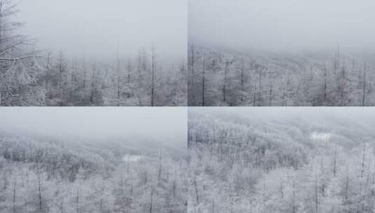 冬季唯美雪景高清在线视频素材下载