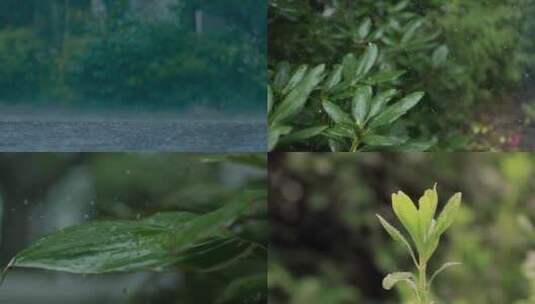 下雨雨滴雨水空境高清在线视频素材下载