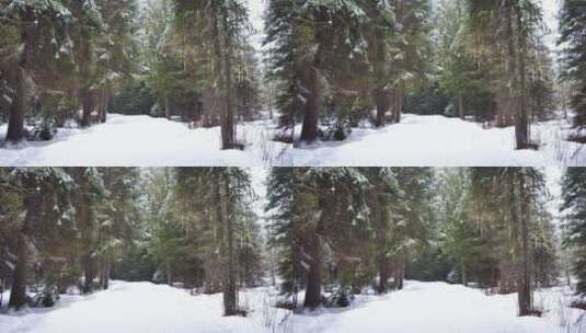 森林里的雪路高清在线视频素材下载