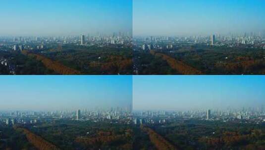 斑斓丛林环抱南京城高清在线视频素材下载