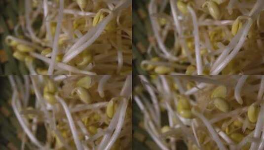 黄豆芽豆芽蔬菜芽苗菜高清在线视频素材下载