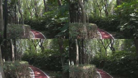 上海绿道高清在线视频素材下载