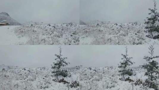 雪景，治愈系风景，一起享受大自然的美高清在线视频素材下载