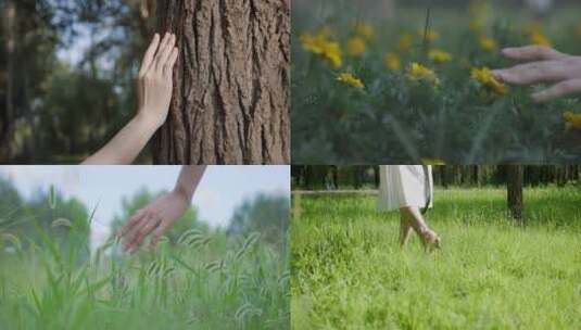 触摸自然感悟自然 手摸植物手摸大树叶高清在线视频素材下载