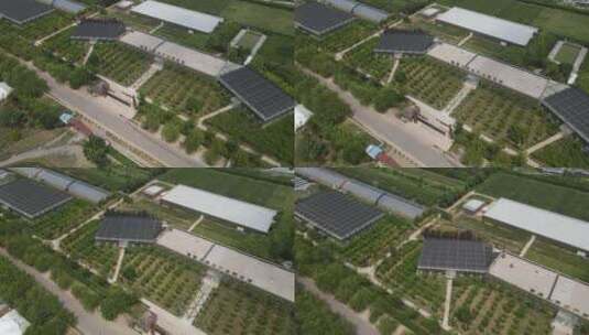 西安灞桥区麦草人有机农业公园17高清在线视频素材下载
