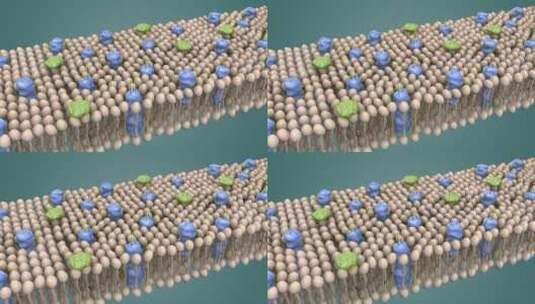 3D医学动画细胞动画 动物细胞 植物细胞高清在线视频素材下载