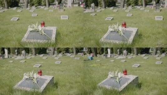 墓碑上的白花和蜡烛特写高清在线视频素材下载