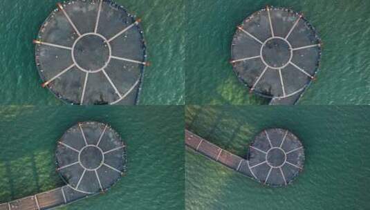 航拍深圳湾公园海上观景台高清在线视频素材下载