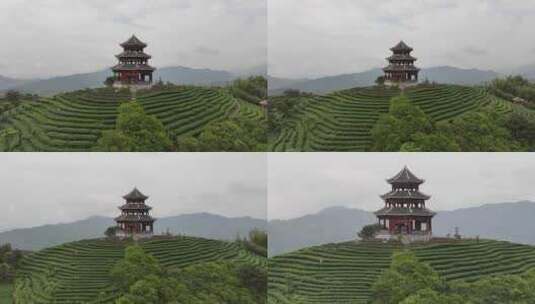 广西柳州仙人山布央茶园航拍高清在线视频素材下载