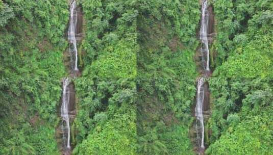 绿色植物环绕的瀑布高清在线视频素材下载