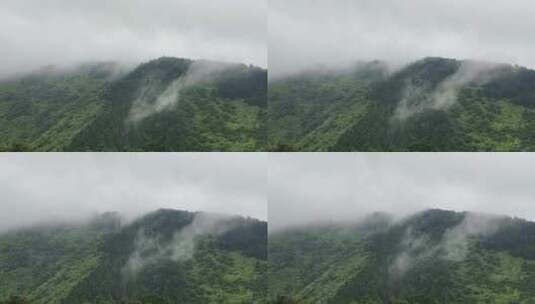 衡山高山云雾高清在线视频素材下载
