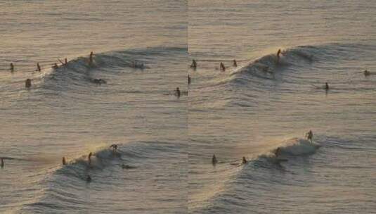 海上黎明日落鸟高清在线视频素材下载