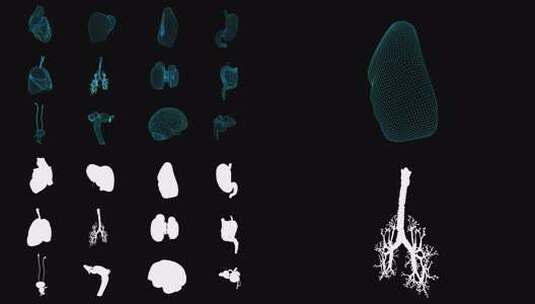 人体内脏器官网格科技线条高清在线视频素材下载