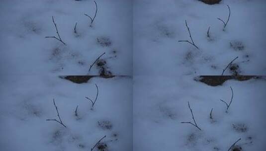 冬天 冬季 寒冷 凄凉 冷漠高清在线视频素材下载