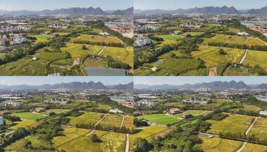 航拍金华浦江上山文化遗址公园高清在线视频素材下载