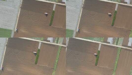 蔬菜基地机械化翻地高清在线视频素材下载