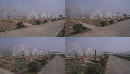 蔬菜大棚种植基地全景高清在线视频素材下载