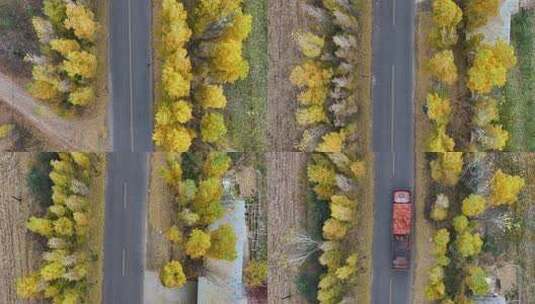 秋天金黄乡村道路航拍高清在线视频素材下载