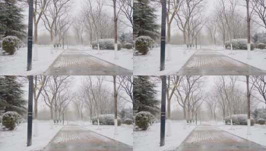 4K北方冬天公园下雪实拍视频高清在线视频素材下载